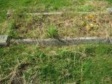 image of grave number 260632